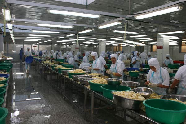 凌海市百通食品有限公司生产车间的工作场面